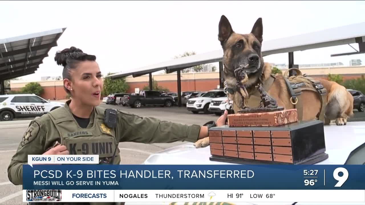 Problem law enforcement dog transferred to Yuma police YouTube