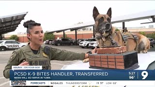Problem law enforcement dog transferred to Yuma police