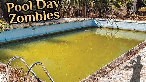 Bo3 New Custom Zombies Pool Day