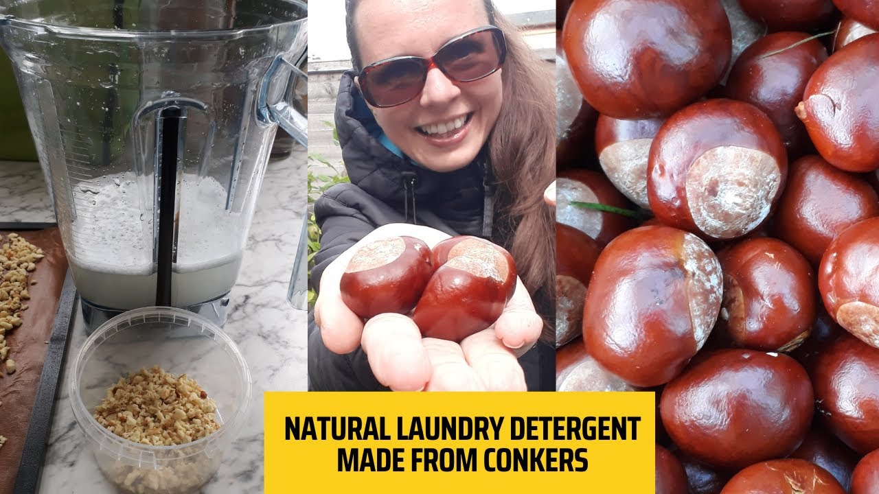 Natural Laundry Detergent Made From Conkers!