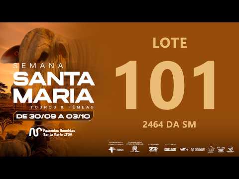 LOTE 101 FSM A2464
