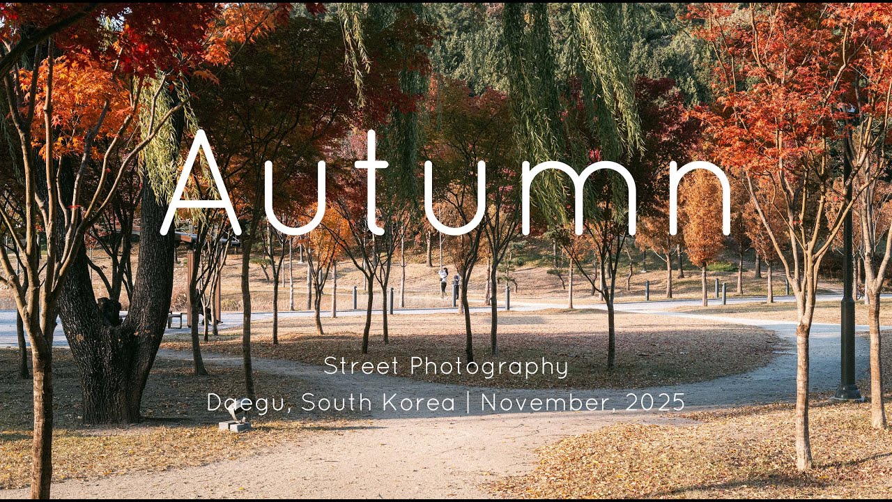 POV Street Photography | Leica Q3 43 | A walk to enjoy fall colors