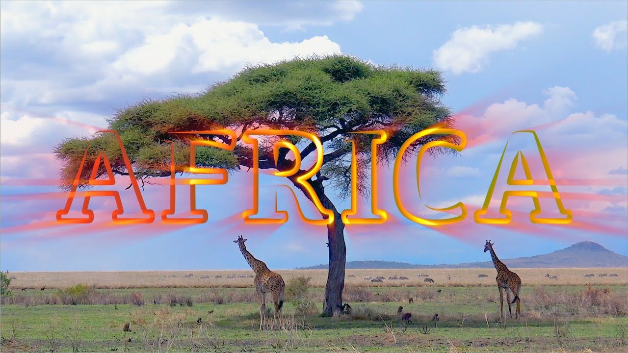 Destino Incomum – Africa Selvagem