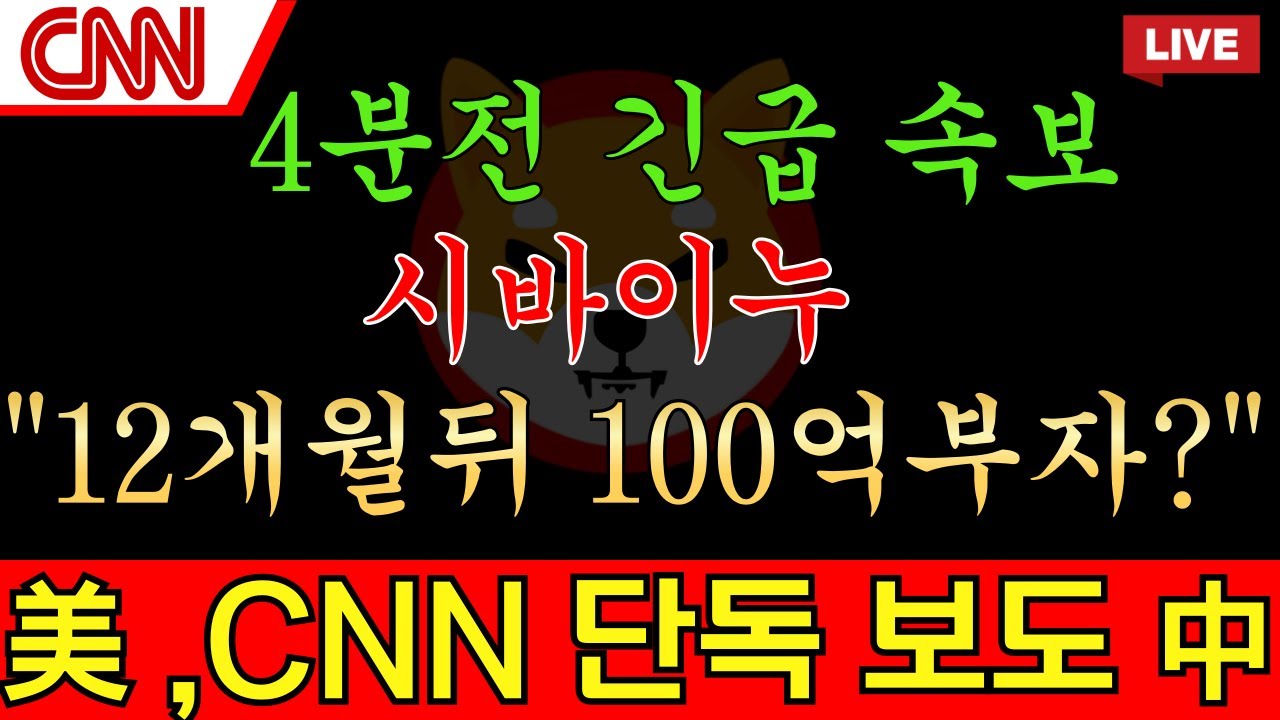 시바이누코인]美,CNN 단독 보도 中시바이누 4분전 긴급속보 확인하셨나요? 홀더분들 필수시청! - YouTube