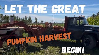 Around the Farm with JT. It’s PUMPKIN harvest Season!