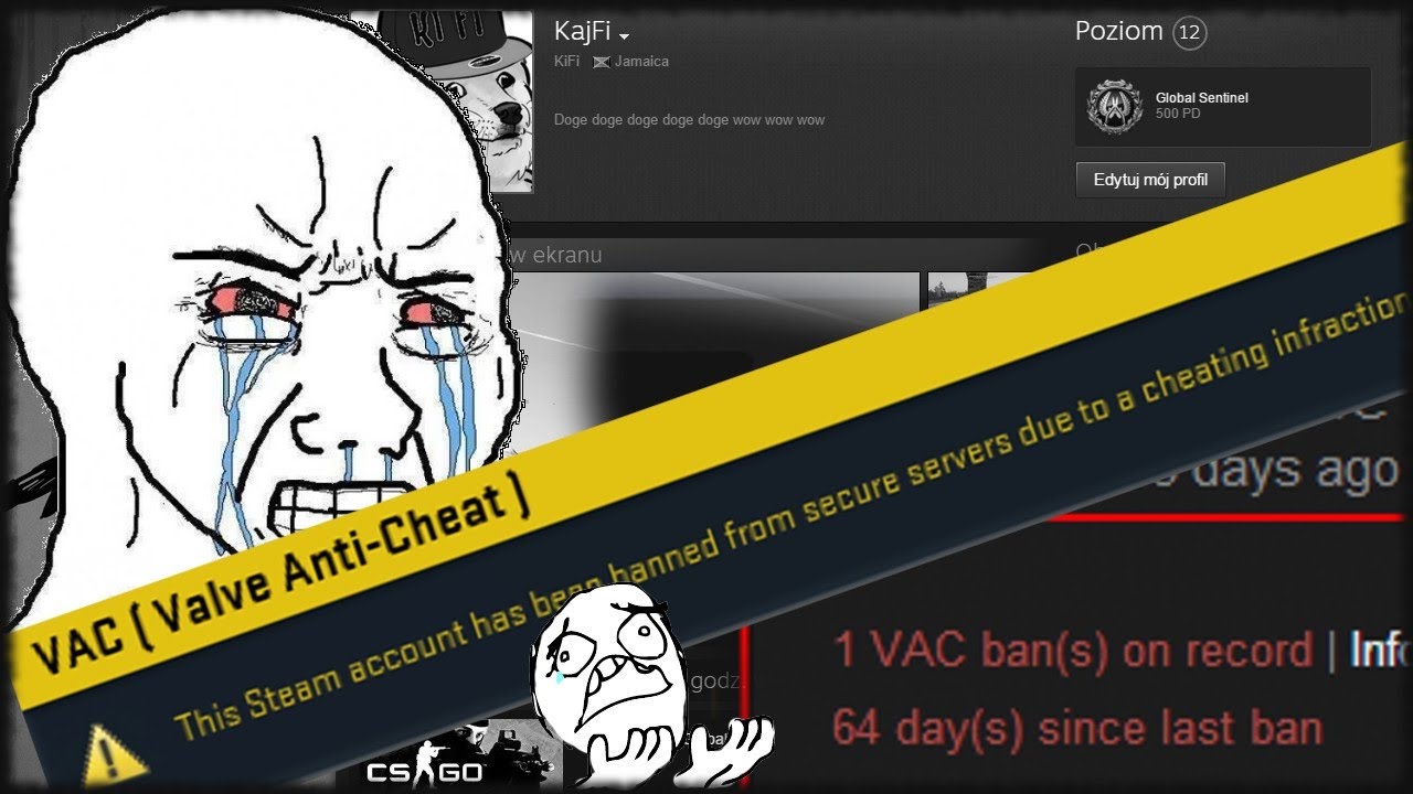 STEAM VAC BAN ПРАНК! VAC BAN PRANK WITH FRIENDS! YouTube