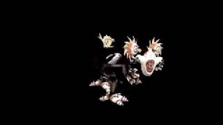 Spore Creature: Egreus-Nexus