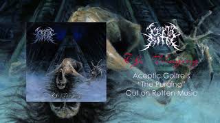 Aceptic Goitre - The Purging