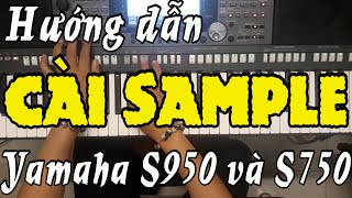 Hướng dẫn cài Sample và sử dụng chức năng đàn S950 và S750 - Trần Khánh Producer