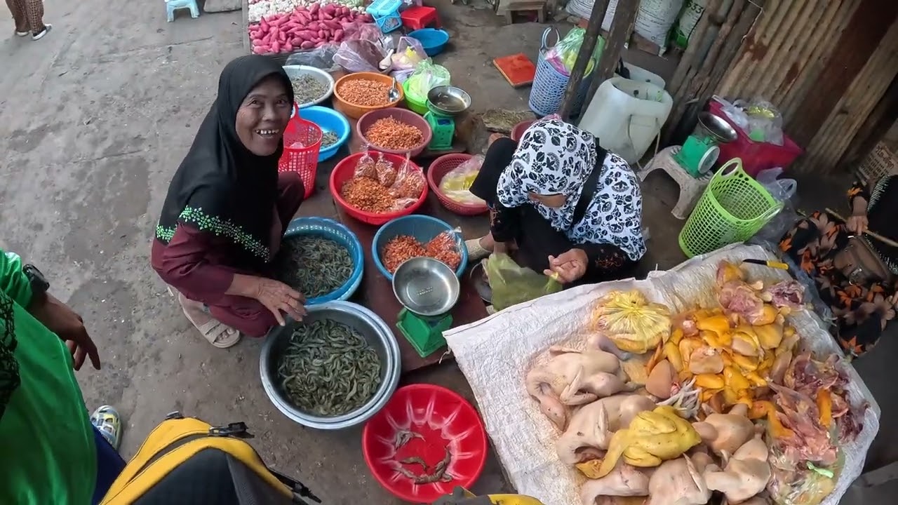 កំពតស្ទូចត្រីបោះតង់ 09-nov-2024