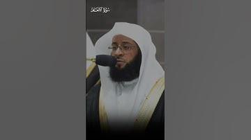تلاوة عذبة من مقاصد سورة الأنعام | بدر التركي