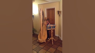 Thumbnail of Wedding harpist