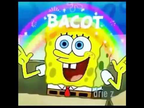 Spongebob Bacot