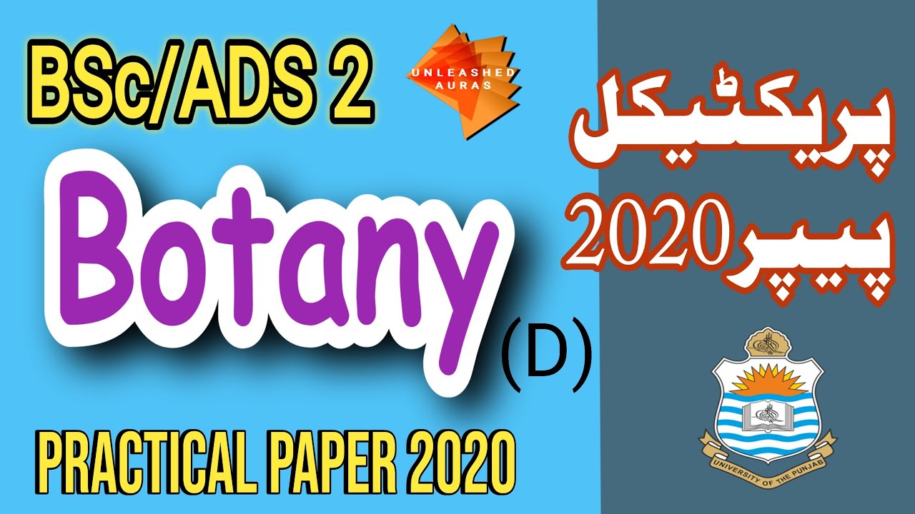 BSc/ADS -ll Botany D Practical Paper 2020 | Guess/Sample/Past Papers | Punjab University