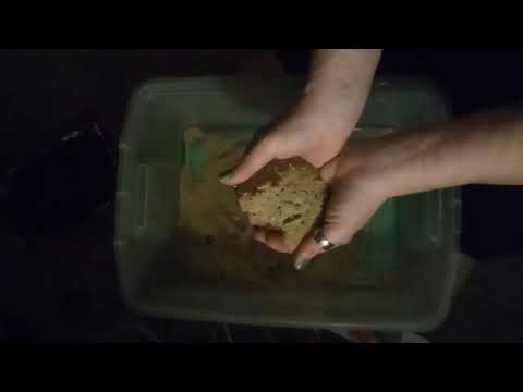 #ASMR  magical sand Day1