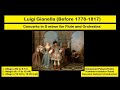 Luigi gianella before 17781817  concerto in d minor for flute and orchestra