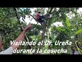Visita a la plantación de aguacate del Dr. Ureña