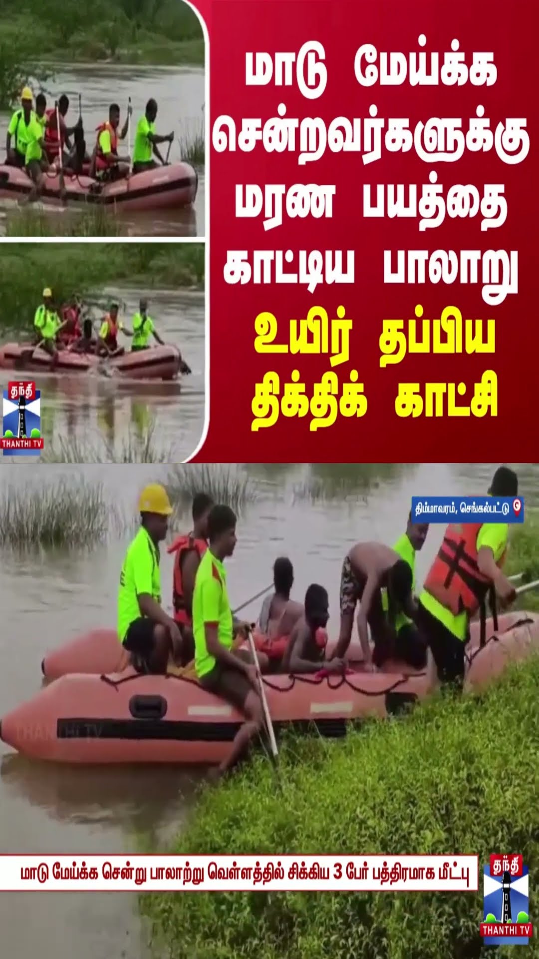 மாடு மேய்க்க சென்றவர்களுக்கு மரண பயத்தை காட்டிய பாலாற்று - உயிர் தப்பிய திக்திக் காட்சி