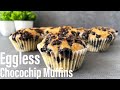 Eggless chocochip muffin  choco chip muffin  eggless chocolate chip muffin  best bites