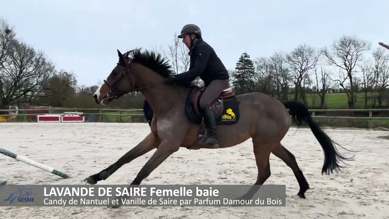 TRAINING POST VENTE - LAVANDE DE SAIRE