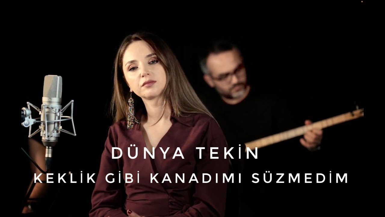 DÜNYA TEKİN - KEKLİK GİBİ KANADIMI SÜZMEDİM