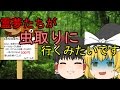 [ゆっくり茶番] 霊夢たちが虫取りに行くみたいです