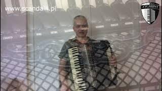 Akordeon Scandalli Super VI Extreme (piccolo/wysoka oktawa   tremolo 10, LMMH) - prezentacja modelu