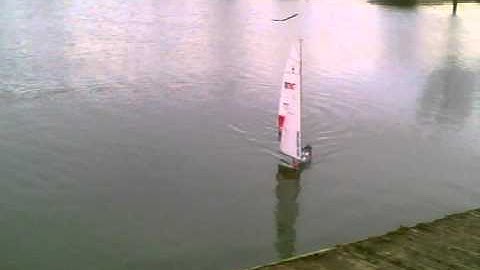 Humber Park Pond - Viper