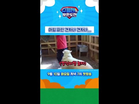 아임 <strong>파인</strong> 갠차나 갠차나… | 슈뻘맨의 무한도전 | 9월 10일 화요일 투니버스 첫방송