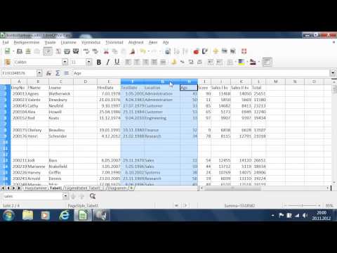 Video: Mitu rida ja veergu on MS Excelis?