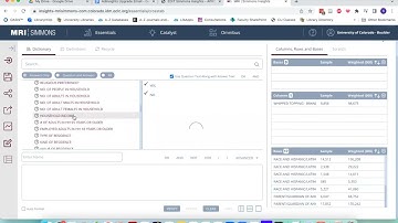 Simmons Insights: Demographics and Psychographics