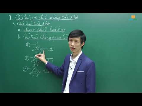 Video: Đường trong ARN khác với đường trong ADN như thế nào?