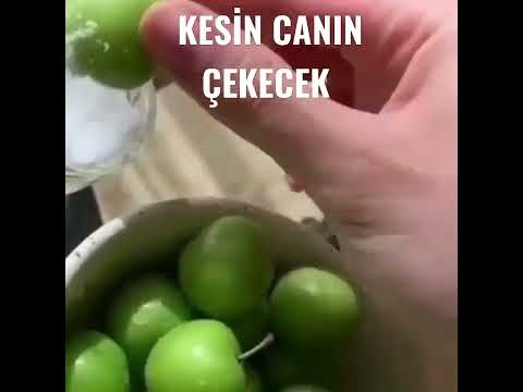 BU SESİ DUYUPTA CANI ÇEKMEYEN YOKTUR 😂 #shorts #erik #eriksesi #erikyemesesi #erikasmr