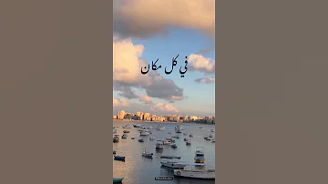 حاله واتس اغنيه قصاد عيني عمرو دياب 
