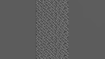 Hydra Sketch // Black & White