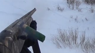 охота на зайца. много нор , а он один.#hunting