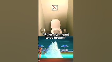 Rules are meant to be broken