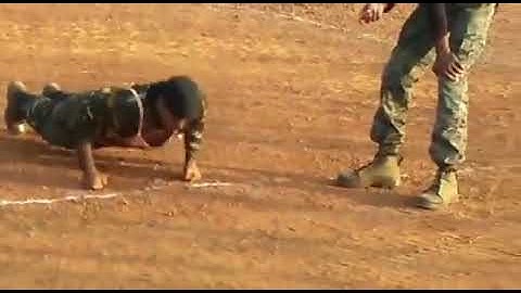 COBRA command training video