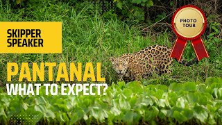 Pantanal Wildlife - What to expect?