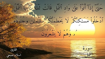 ...تلاوة خاشعة للقارئ إسلام صبحي - حَتَّىٰٓ إِذَآ أَتَوْاْ عَلَىٰ وَادِ ٱلنَّمْلِ قَالَتْ نَمْلَةٌ