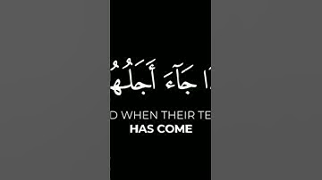 ولو يؤاخذ الله الناس بظلمهم🌿سورة #النحل# ياسر الدوسري🌿