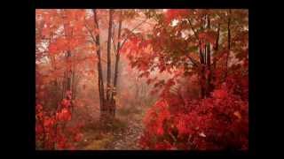 Ismail Zeteroglu - Feel