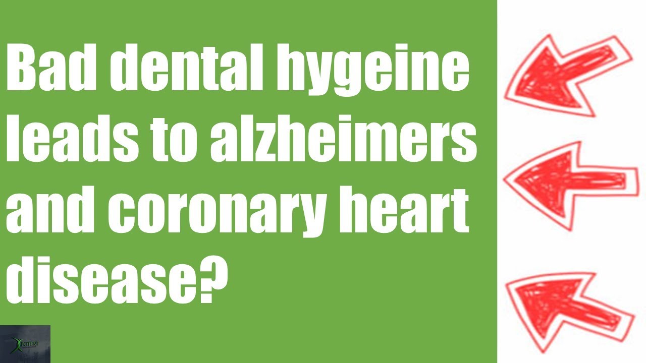 Bad dental hygeine leads to alzheimers and coronary heart disease