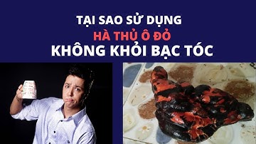 Tại sao uống Hà thủ ô đỏ mãi mà không hết bạc tóc? Nguyên nhân bạc tóc sớm
