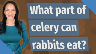 What part of celery can rabbits eat? Can Rabbits Have Celery Leaves
