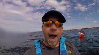 Sea Kayaking with Dolphins at Fort George