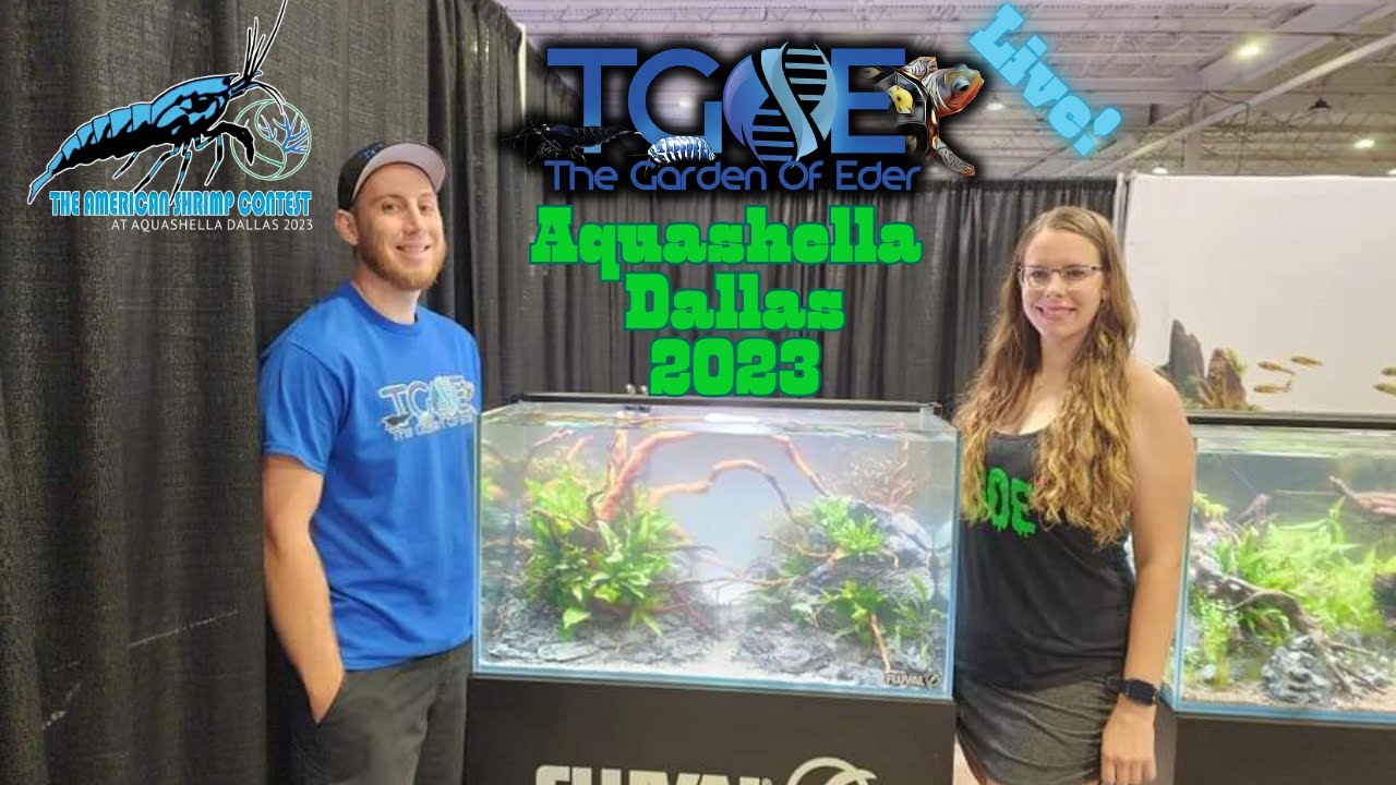 Aquashella Dallas 2023 Recap! YouTube