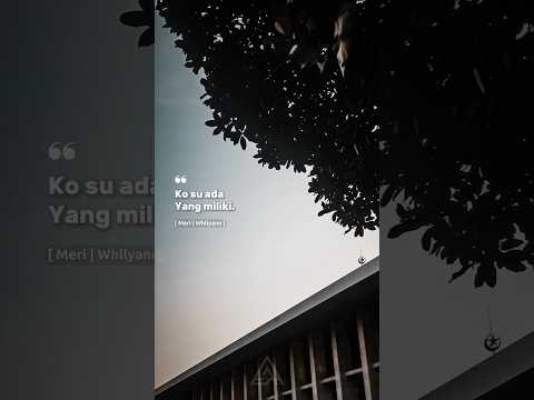 whllyano - meri #music #short #shorts #shortvideo #viral #viralvideo