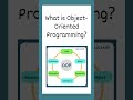 What is object-oriented programming? #nullclass #viral #basics #career #objectorientedprogramming