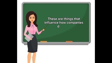 Chapter 3(Influence of the  External Environment), Principles of Management - I